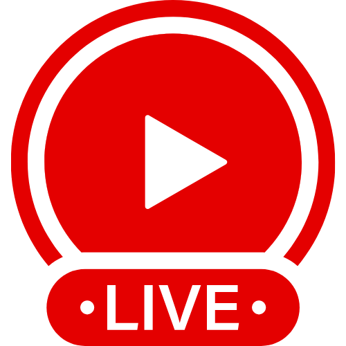 Hamster Live Web | Live Webcam Shows & Interactive Adult Entertainment